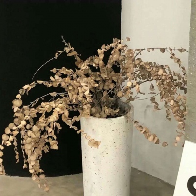 Furry二次元拟人美学福瑞交流群